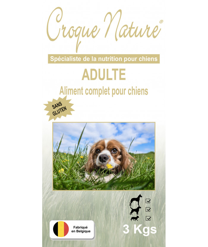 SANS GLUTEN ADULTE 3 KGS CROQUETTES POUR CHIEN