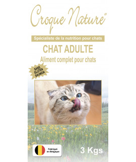 CHAT SANS GLUTEN SAUMON 3 KGS CROQUETTES POUR CHAT