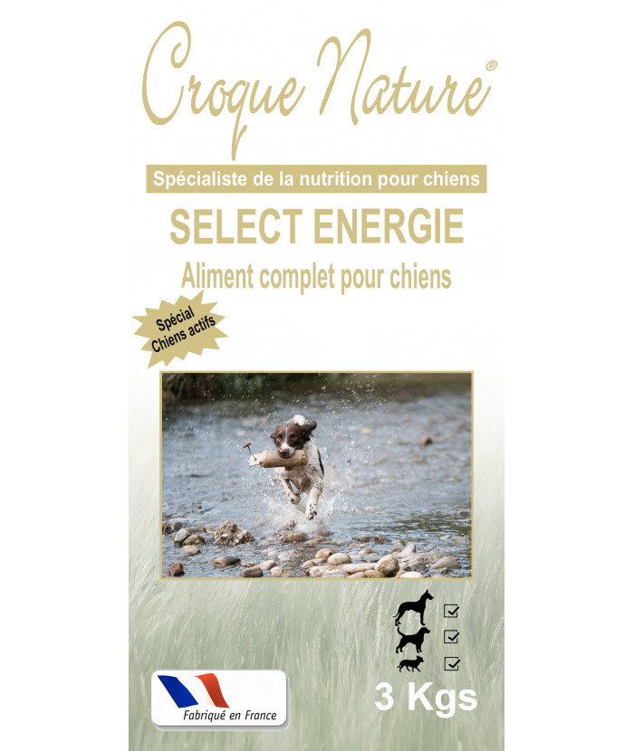 SELECT ENERGIE 3 KGS CROQUETTES POUR CHIEN