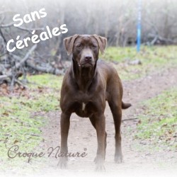 Sans céréales