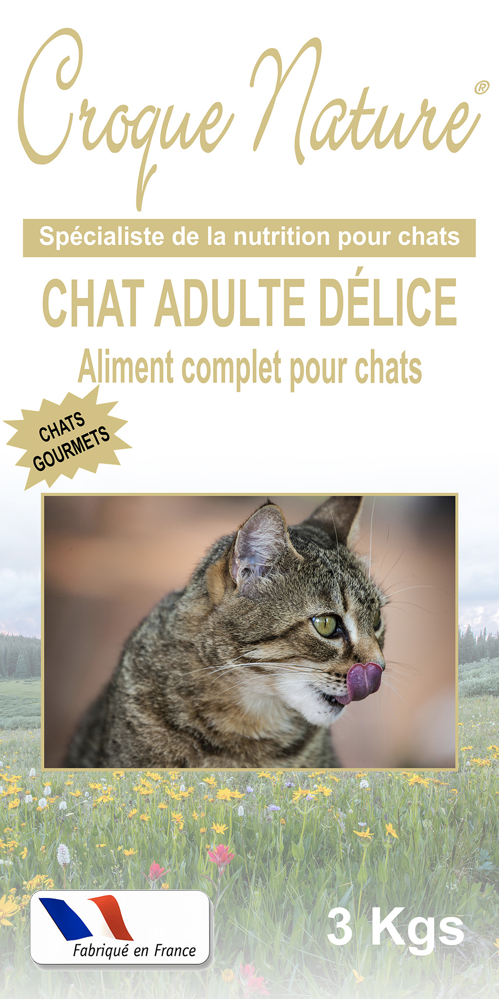 Croquettes Chat Adulte délice PARIS