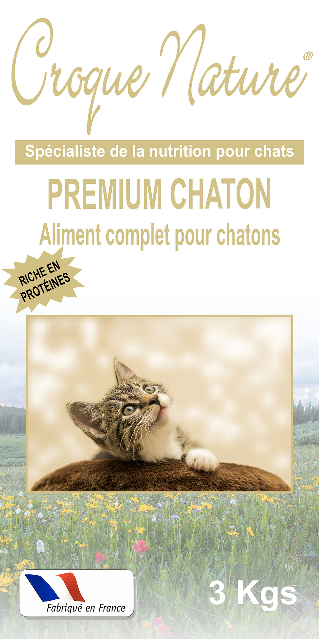 Croquettes PREMIUM Chaton ANNET-SUR-MARNE 77
