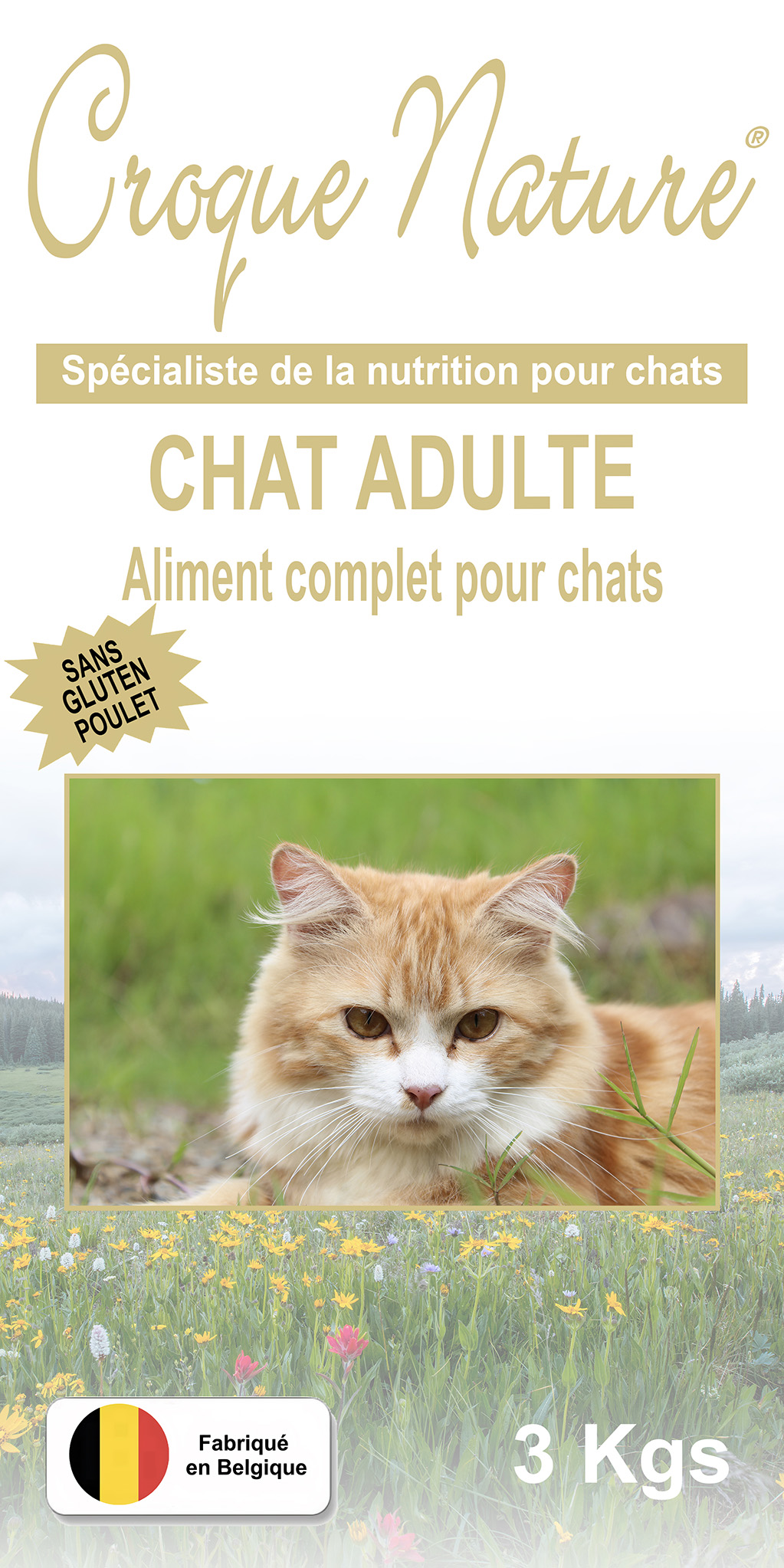 Croquettes Chat Adulte sans Gluten Poulet PARIS