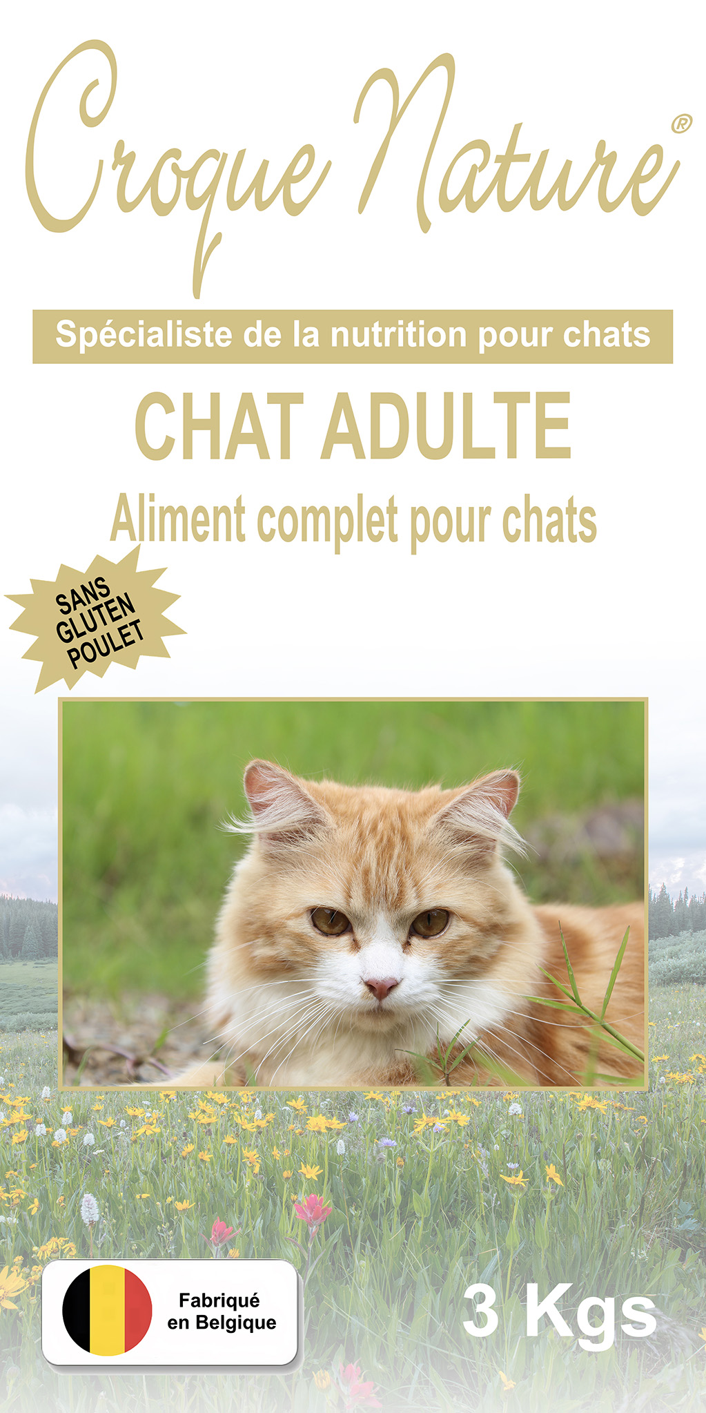 Croquettes Chat Adulte sans Gluten Poulet PLAISIR 78
