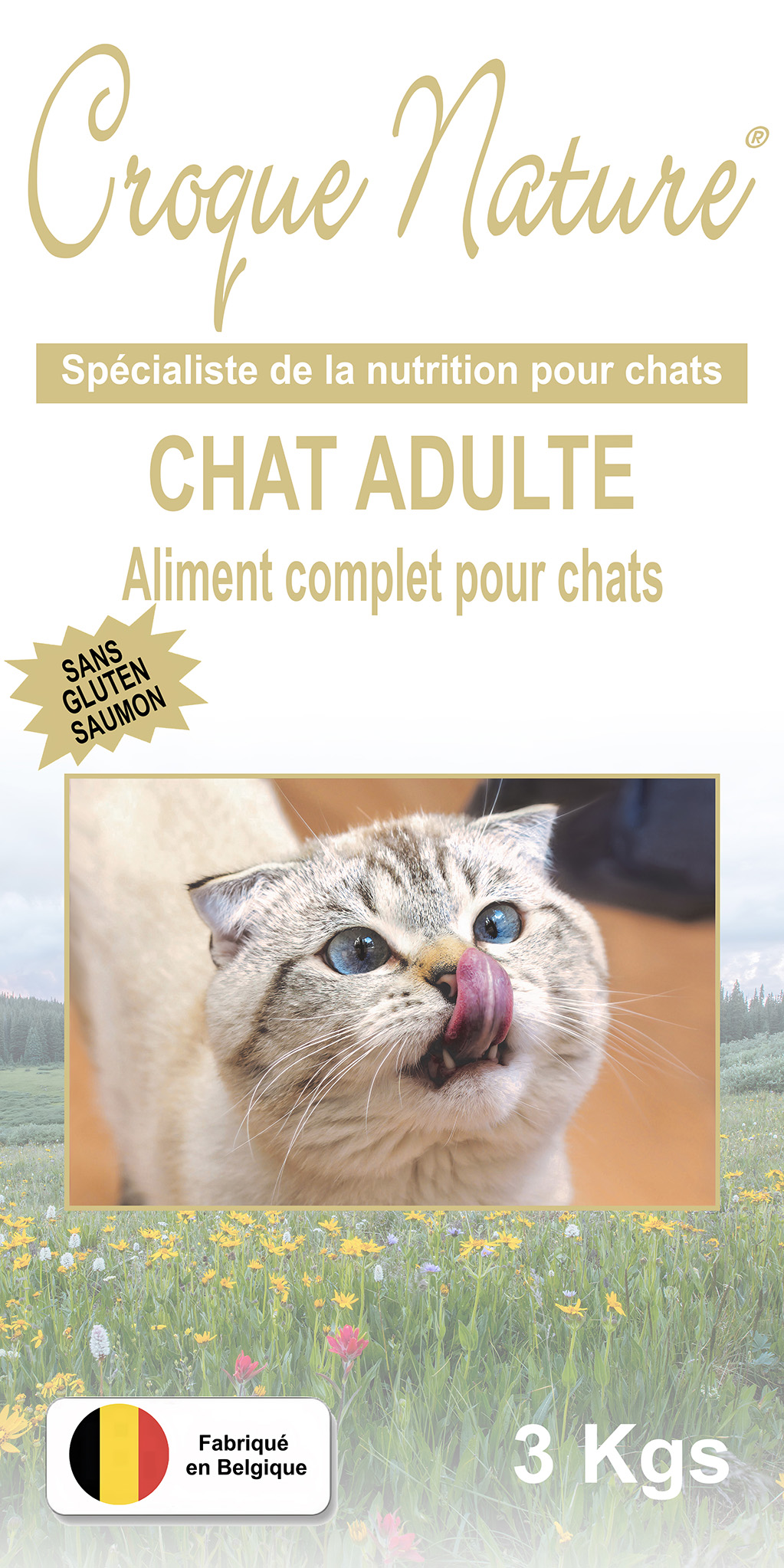 Croquettes Chat Adulte sans Gluten Saumon PARIS