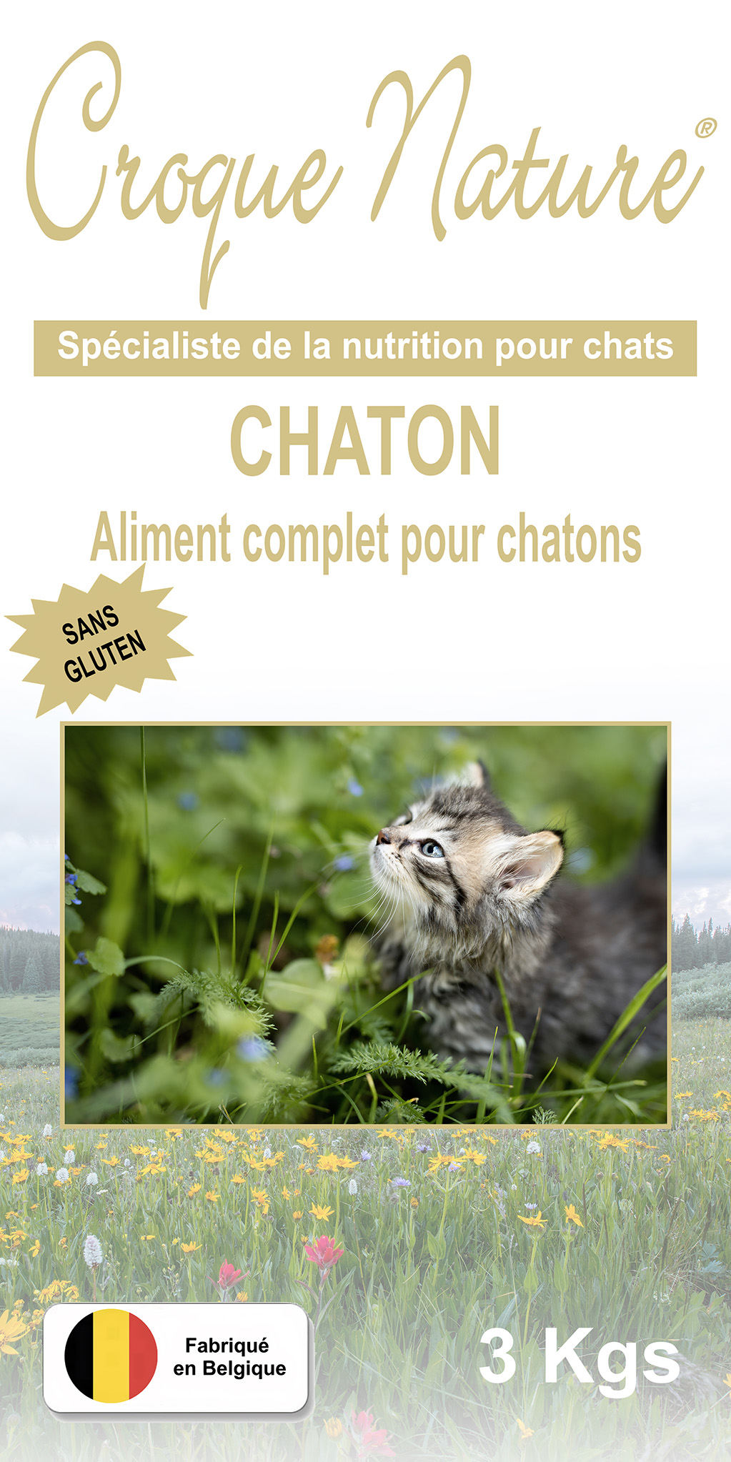 Croquettes Chaton sans Gluten PENCHARD 77
