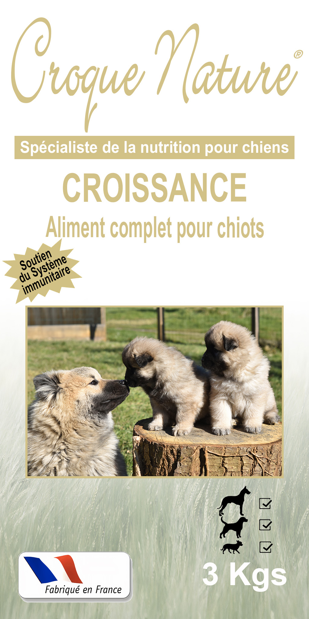 CROQUETTES CHIOT CROISSANCE PARIS 5