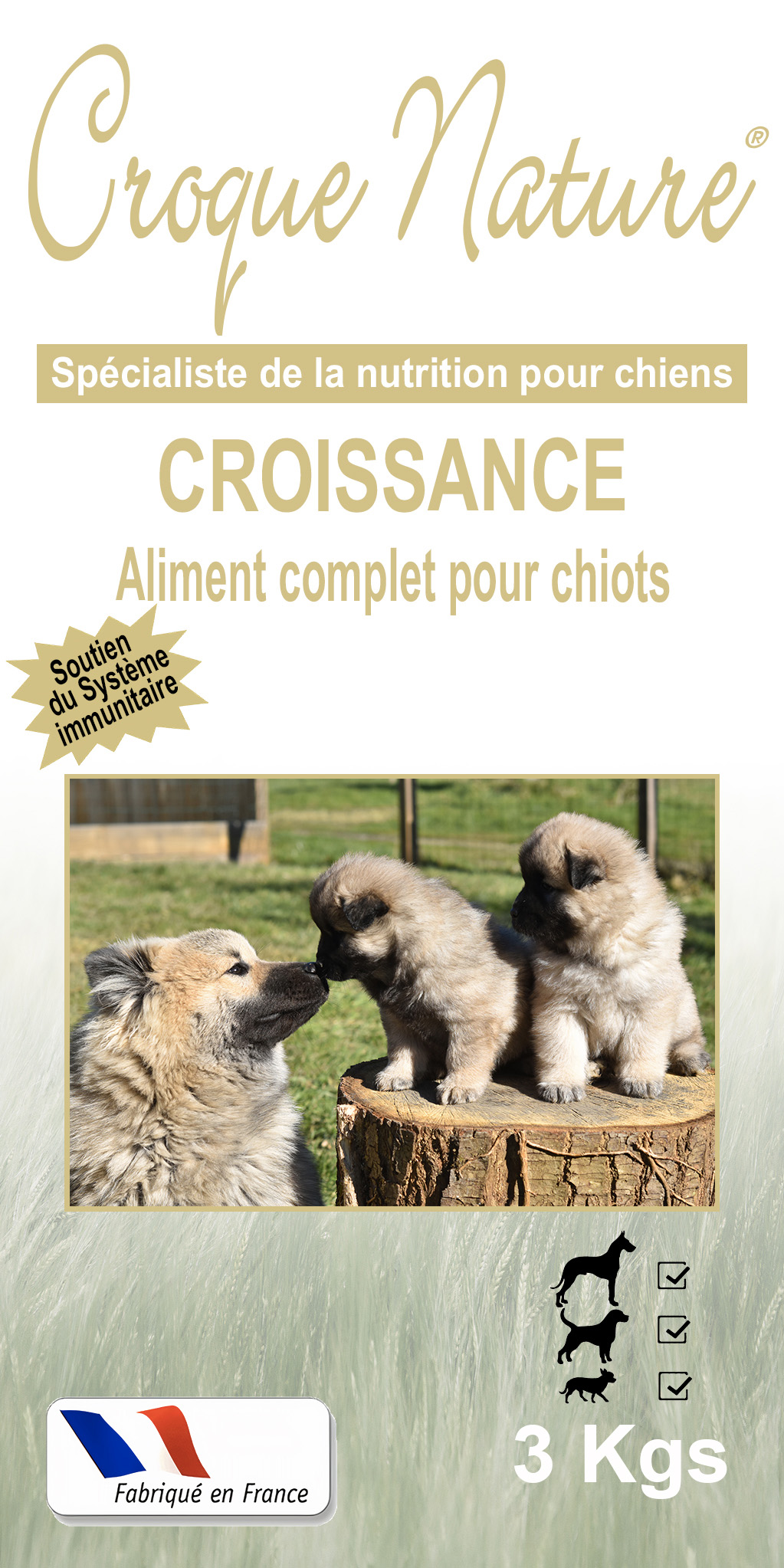 CROQUETTES CHIOT CROISSANCE VOIRON 38
