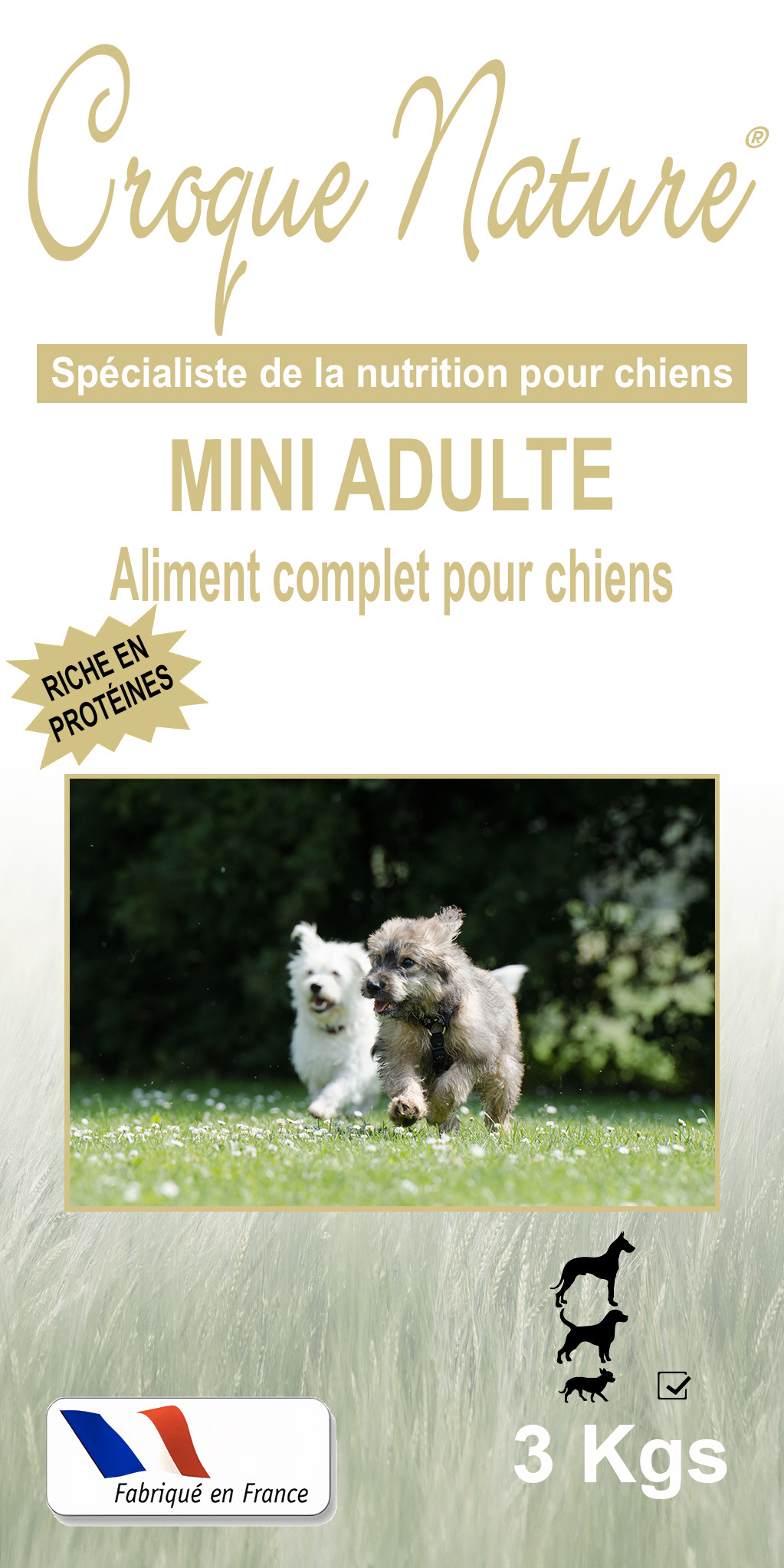 Croquettes chien Mini Adulte SAINT-PIERRE-ROCHE 63
