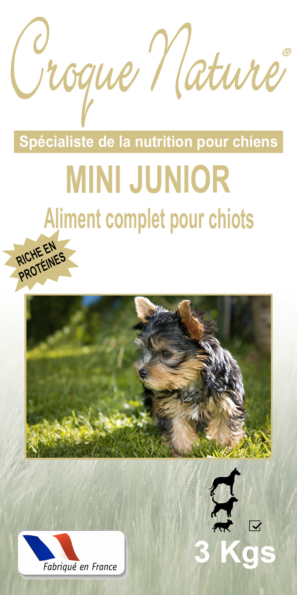 Croquettes chiot Mini Junior LE PLESSIS-AUX-BOIS 77