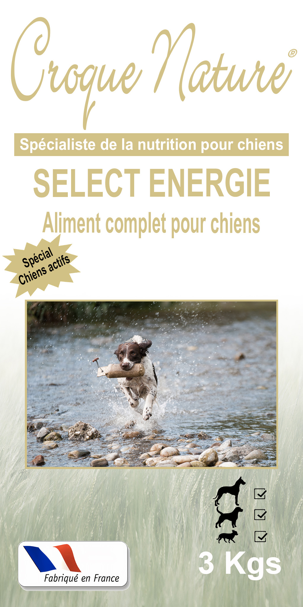 Croquettes chiens Select Energy PROVINS 77