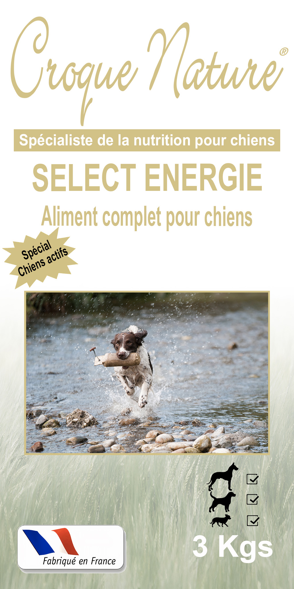 Croquettes chiens Select Energy MONTANGES 01
