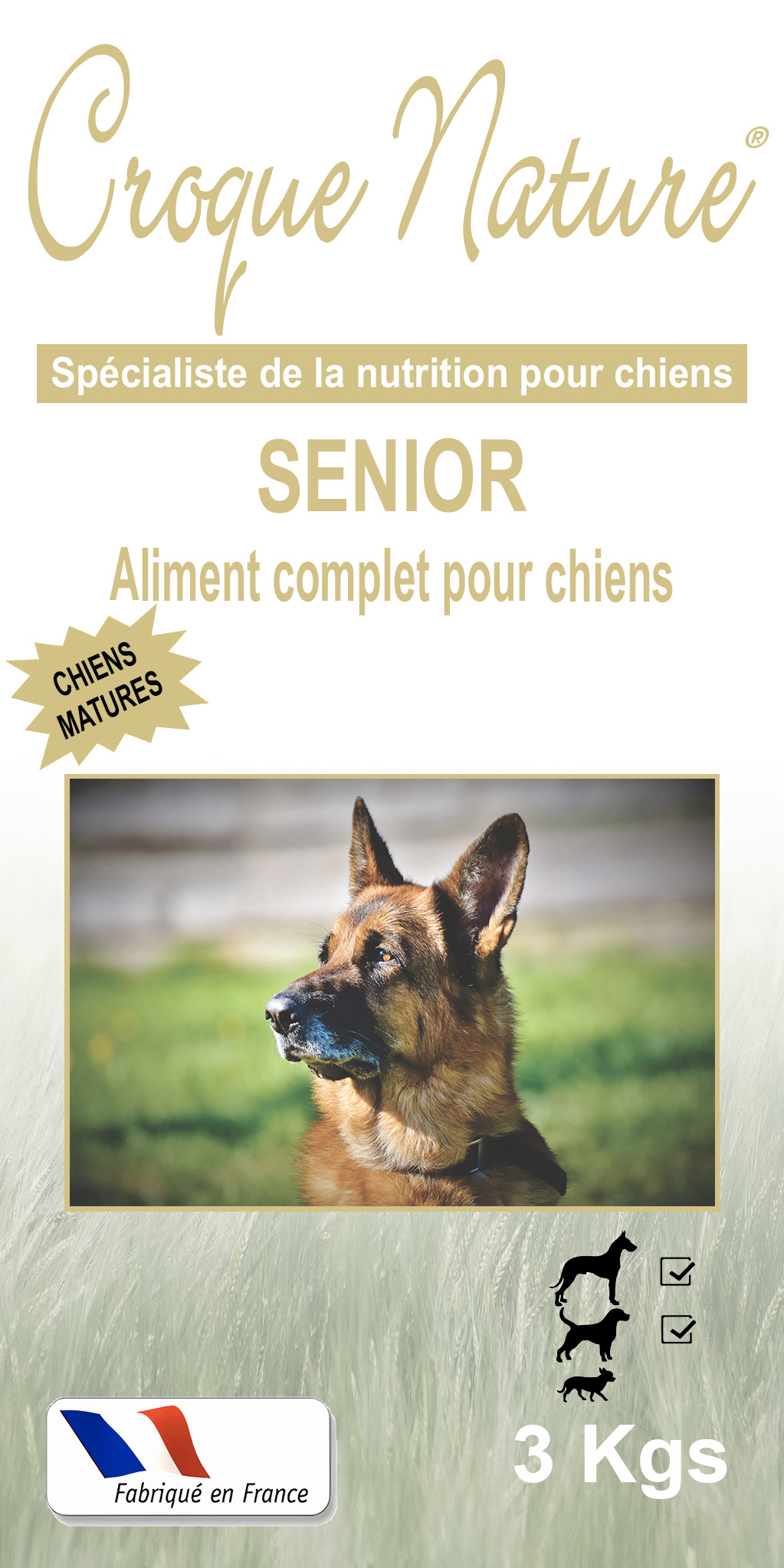 Croquettes chien Senior