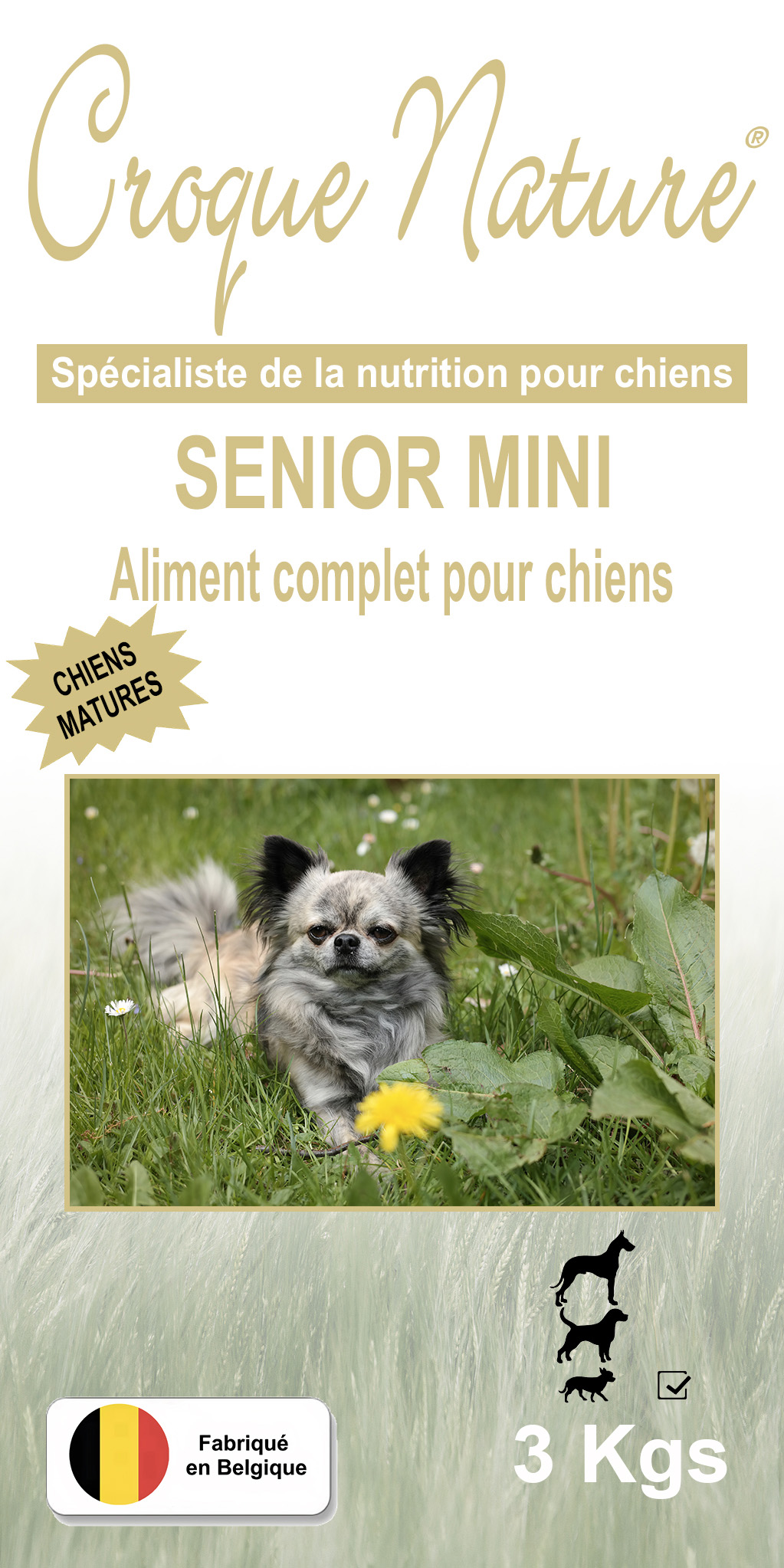 Croquettes chien Senior Mini ASNIÈRES-SUR-SAÔNE 01
