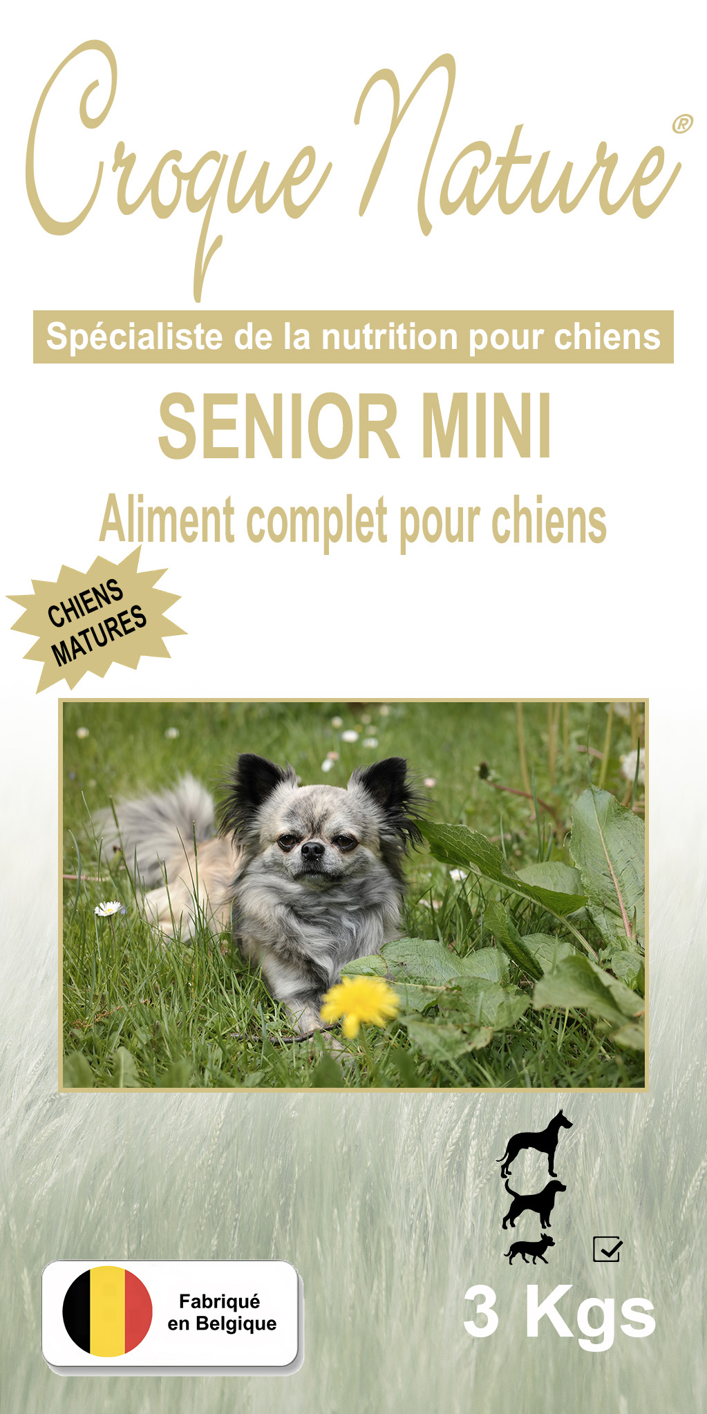 Croquettes chien Senior Mini PONCINS 42
