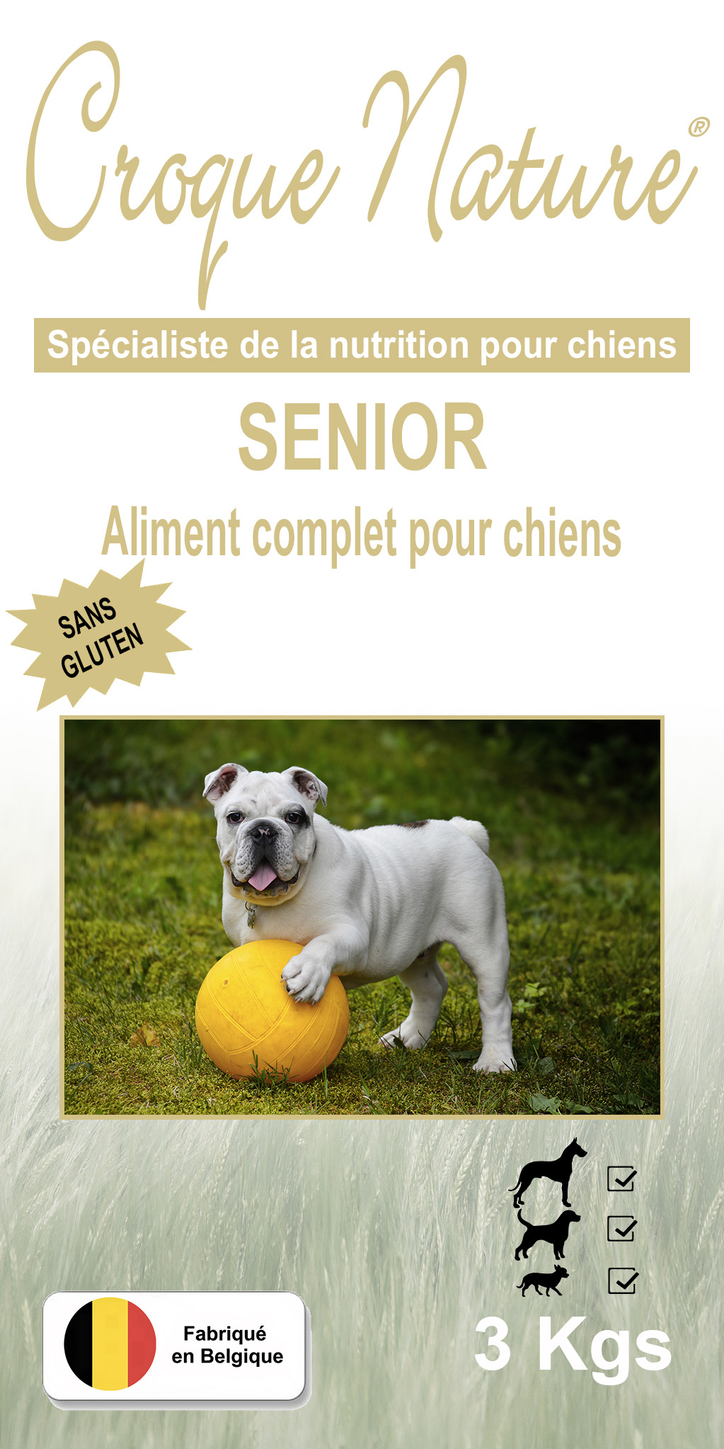 Croquettes chien Senior sans gluten