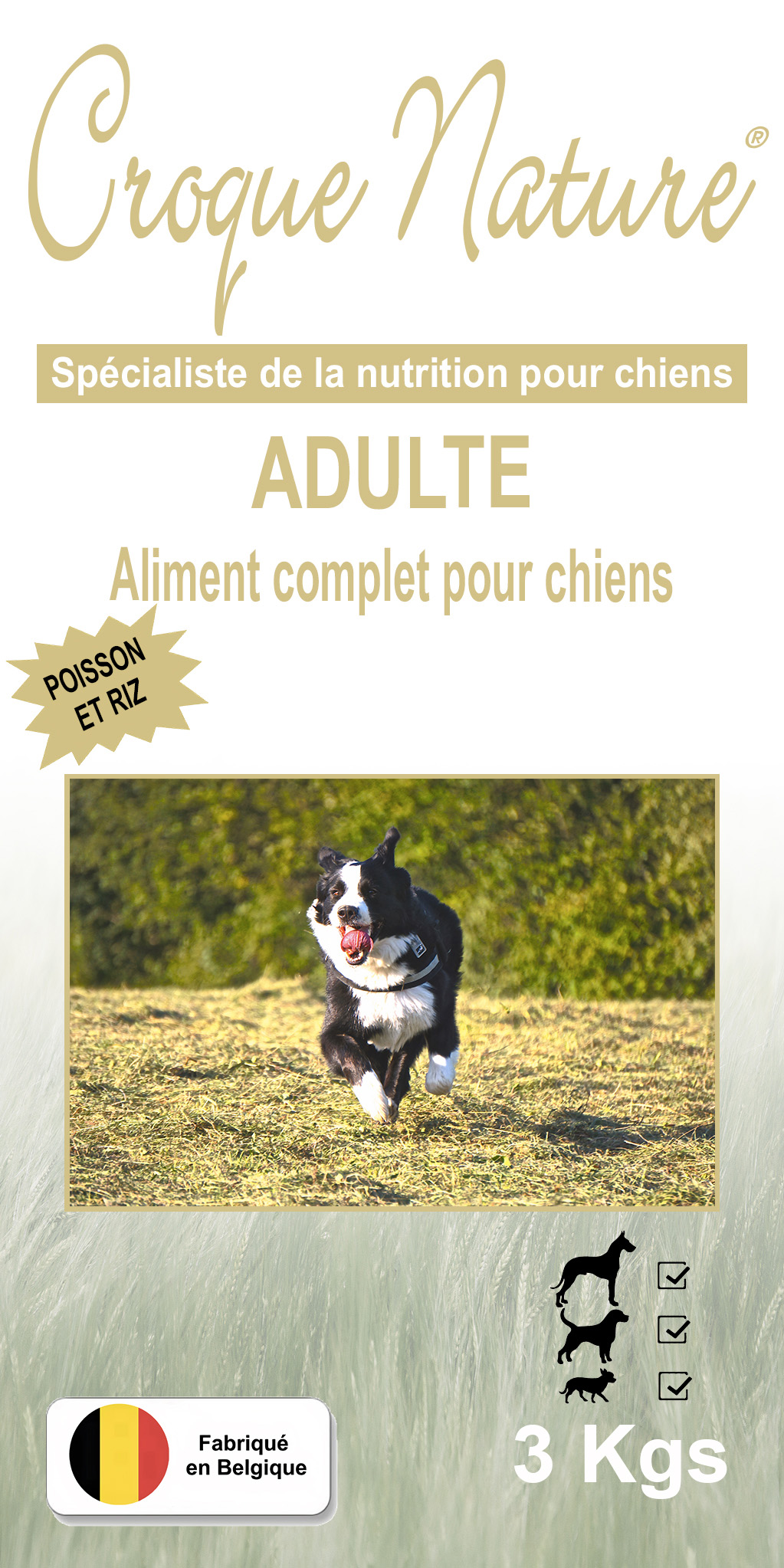 Croquettes chien Adulte Poisson et Riz CHOISY 74
