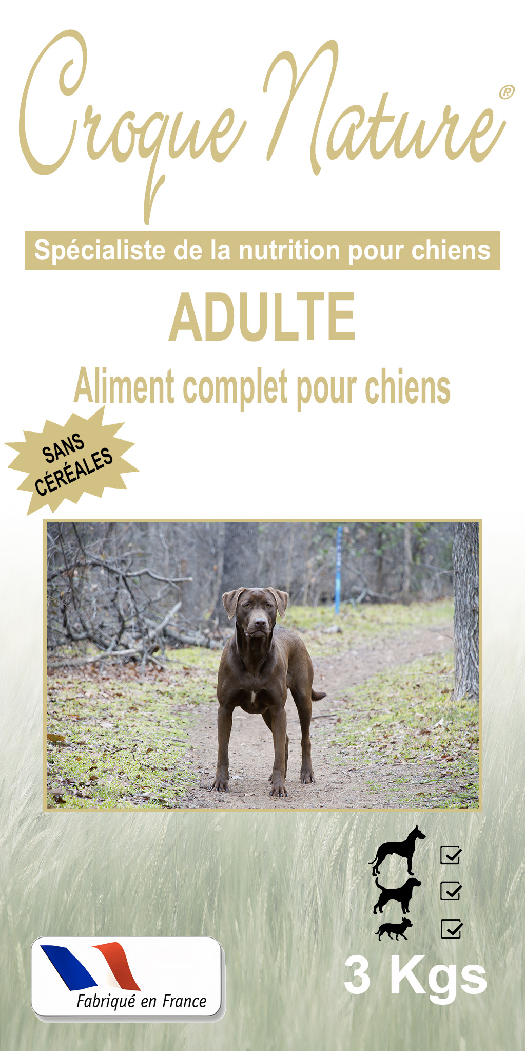 Croquettes chien Adulte sans Céréales FLAXIEU 01
