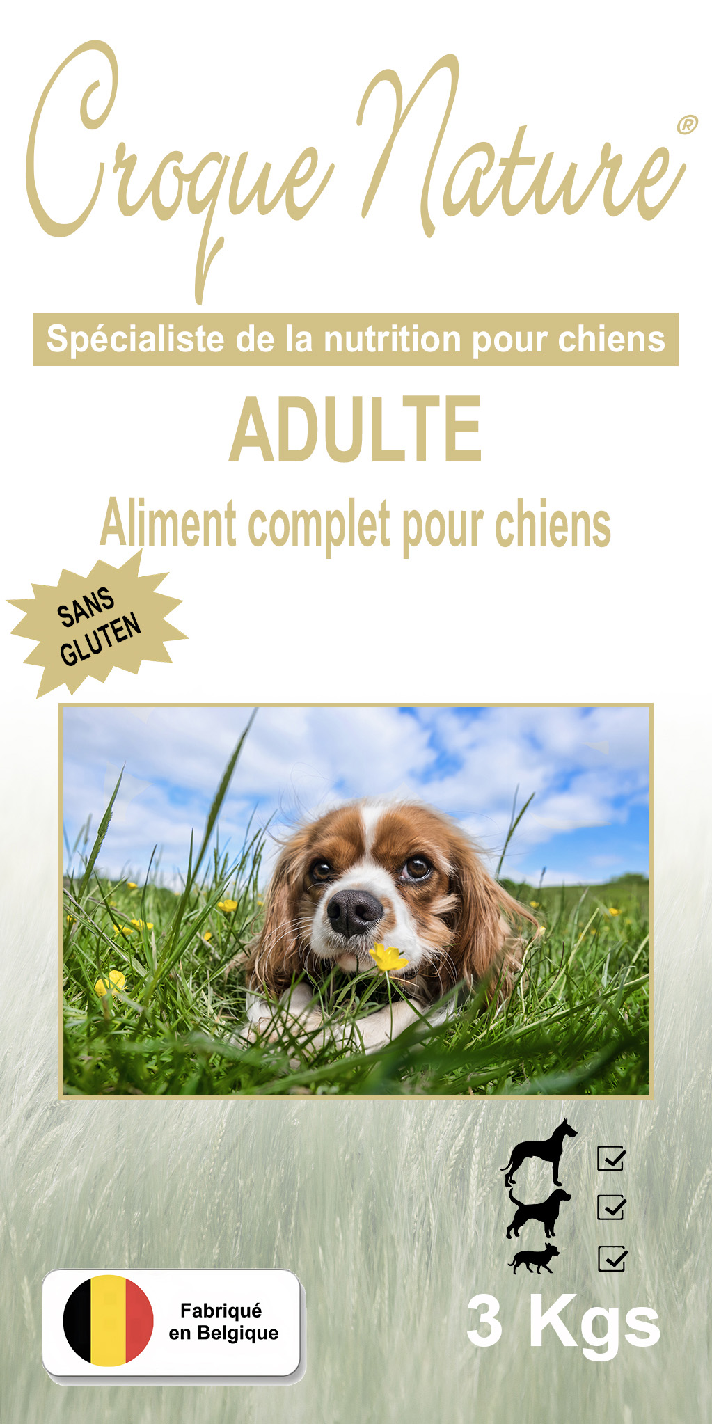Croquettes chien Adulte sans Gluten LE PLESSIS-FEU-AUSSOUX 77