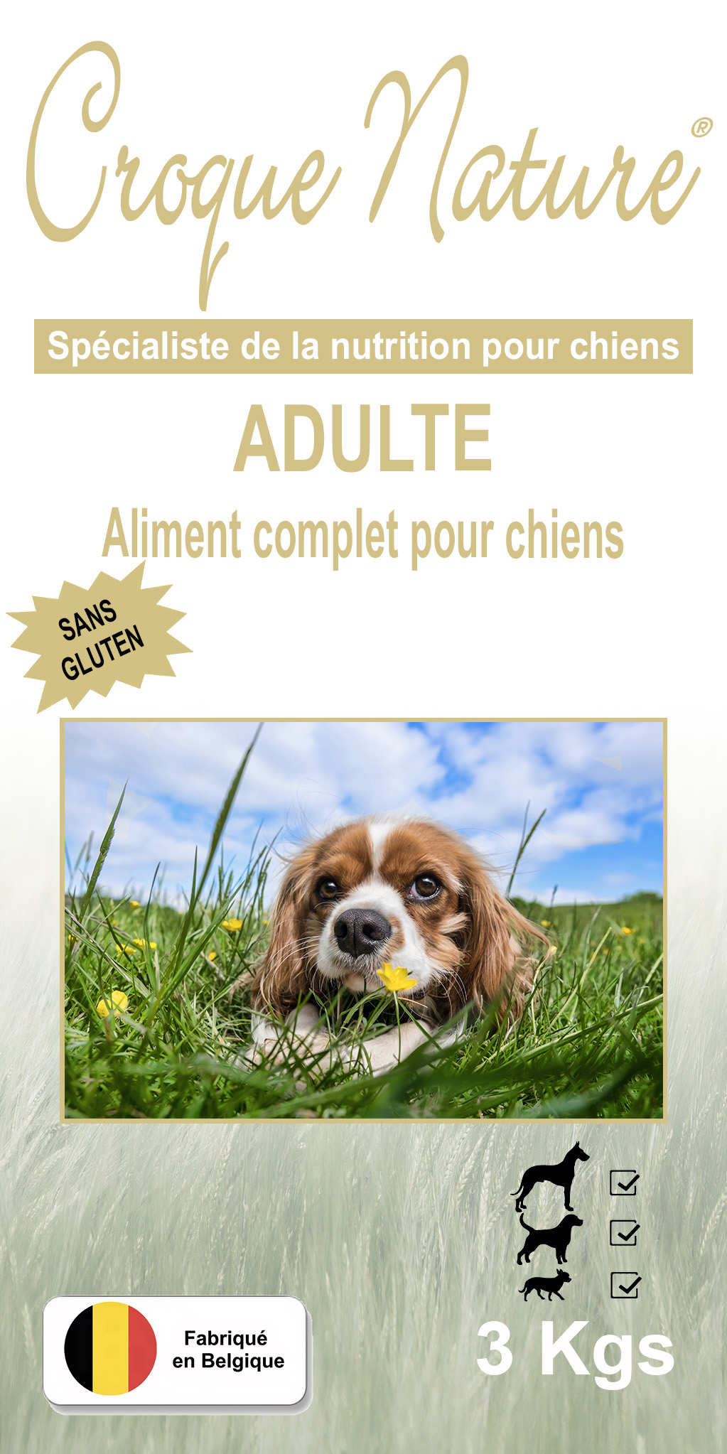 Croquettes chien Adulte sans Gluten GLEIZÉ 69
