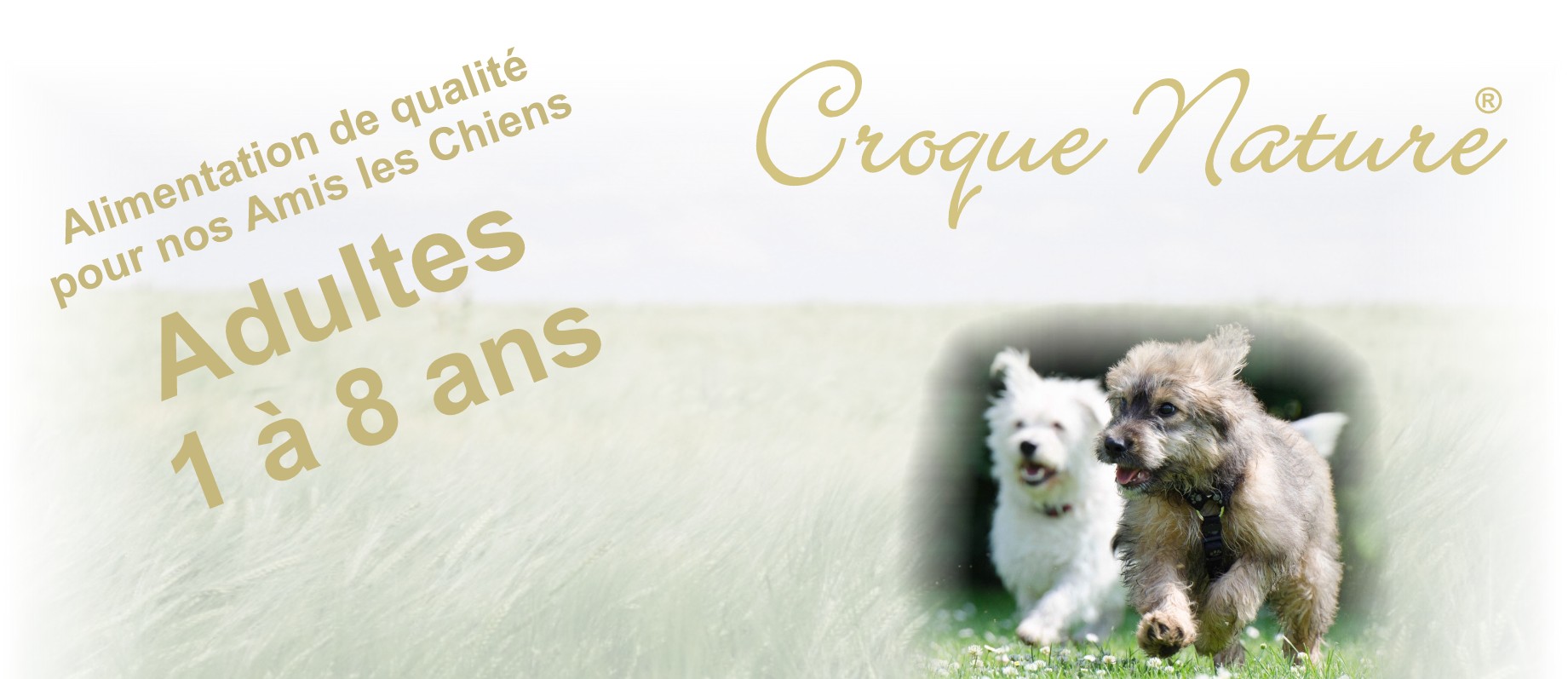 CROQUETTES CHIEN ADULTE 1 A 8 ANS