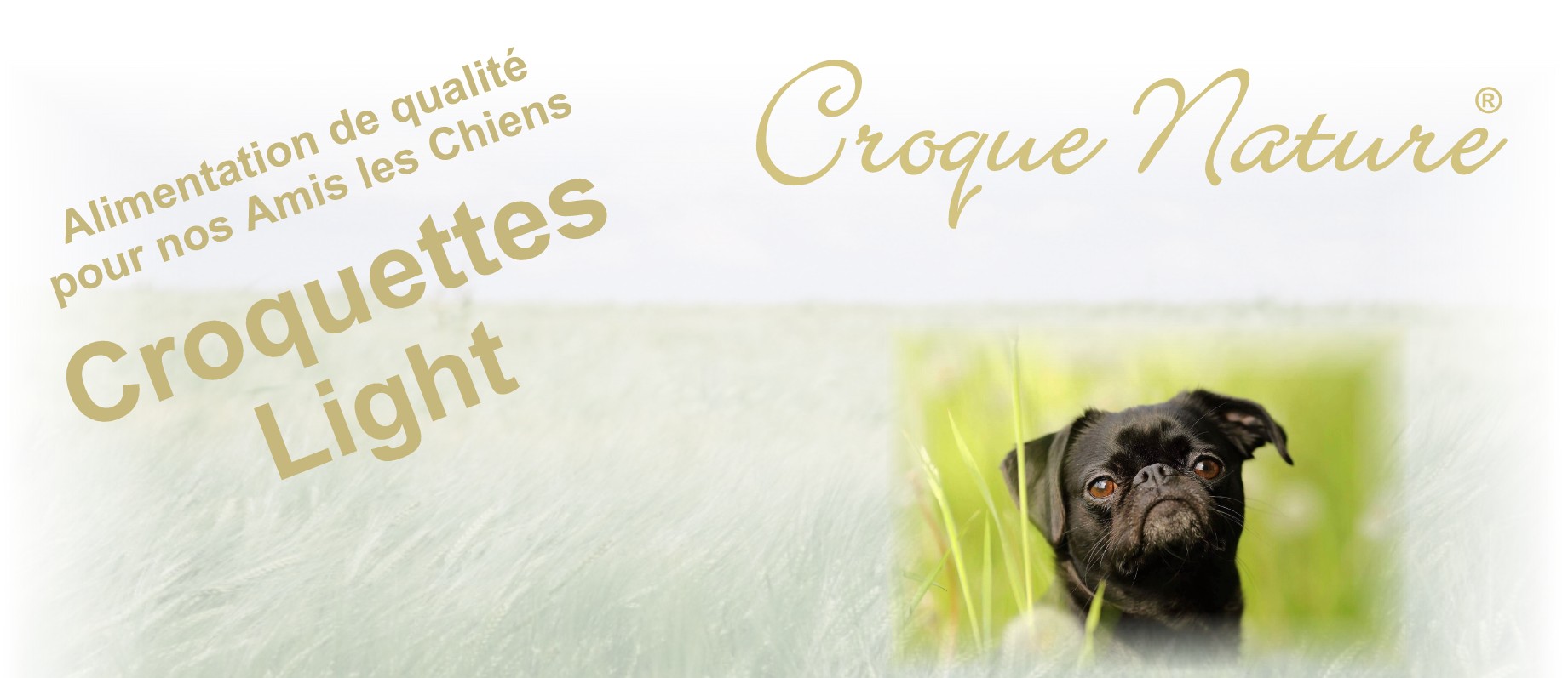 CROQUETTES LIGHT POUR CHIENS