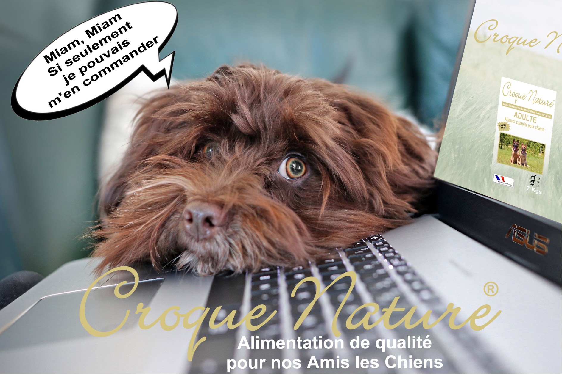 CROQUETTES POUR CHIEN DE QUALITE - CROQUE NATURE