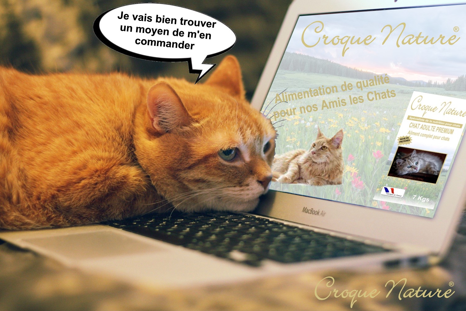 CROQUETTES POUR CHAT DE QUALITE  - CROQUE NATURE